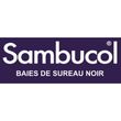 Médicament en ligne Sambucol